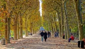 People walking in a park in Paris in Autumn