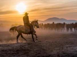 The cowboy who tamed horses at sunset