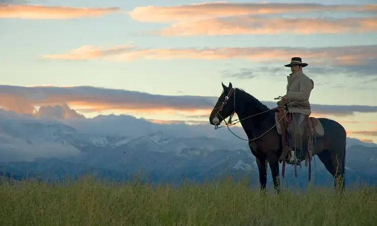 Cowboy on Montana ridge at first light,mountain background.