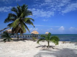 Caribbean beach / Ambergris Caye, Belize